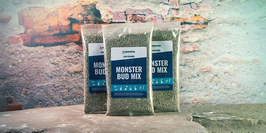 FASE 4: PREPARARE IL TERRENO CON UN FERTILIZZANTE COME MONSTER BUD MIX