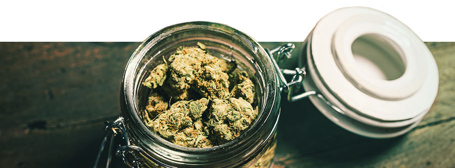 Informazioni Sui Contenitori Informazioni Sui Contenitori