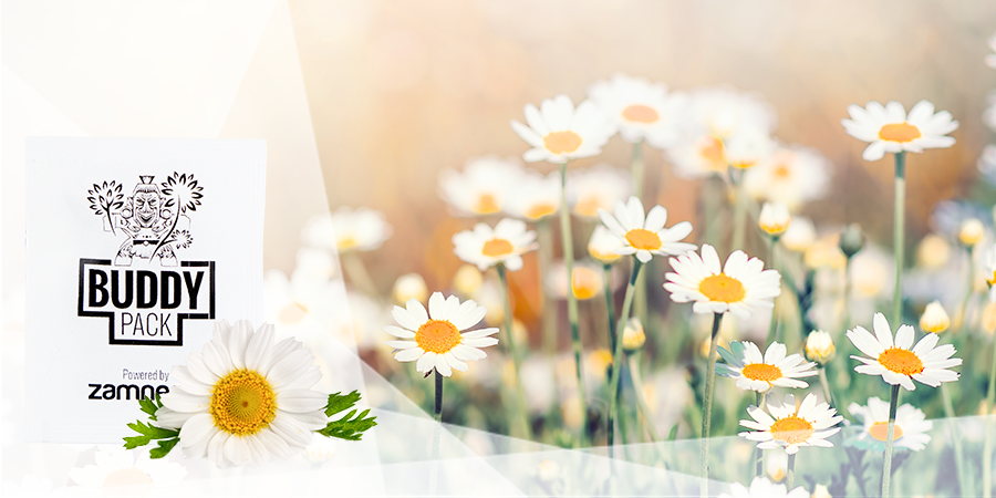 Attirano Insetti Benefici