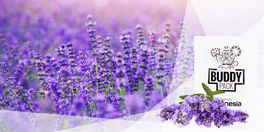 Allontanano Gli Insetti Dannosi