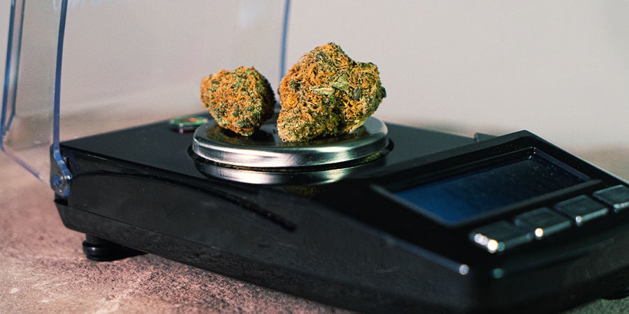 Specifiche Importanti Per Una Bilancia Per Cannabis Specifiche Importanti Per Una Bilancia Per Cannabis