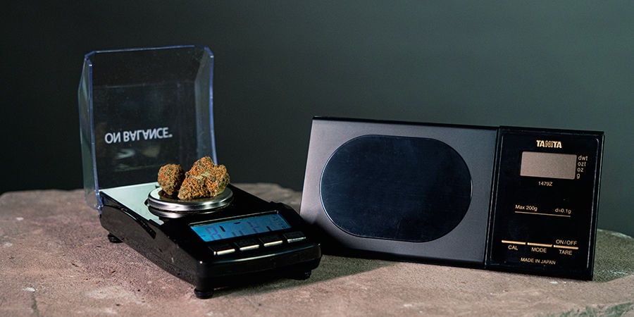 Quale Bilancia Dovrei Comprare Per Pesare La Cannabis? Quale Bilancia Dovrei Comprare Per Pesare La Cannabis?