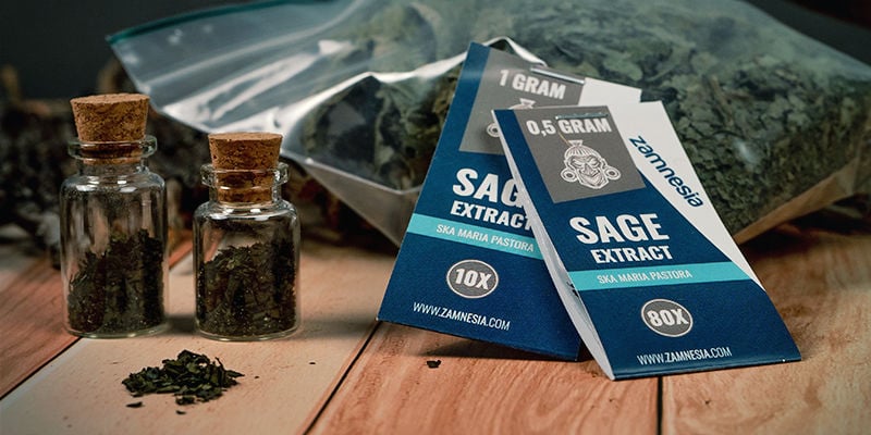 Come E Dove Potete Procurarvi La Salvia Divinorum? Come e dove potete procurarvi la Salvia divinorum?