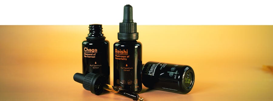 Quale integratore a base di funghi è più adatto alle mie esigenze? Quale integratore a base di funghi è più adatto alle mie esigenze?