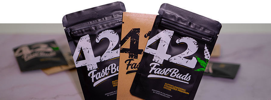 Informazioni Sui Semi Di Cannabis FastBuds  Informazioni sui Semi di Cannabis FastBuds