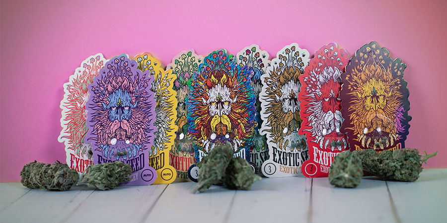 Varietà Di Cannabis Pluripremiate Di Exotic Seed Varietà Cannabis Pluripremiate Exotic Seed