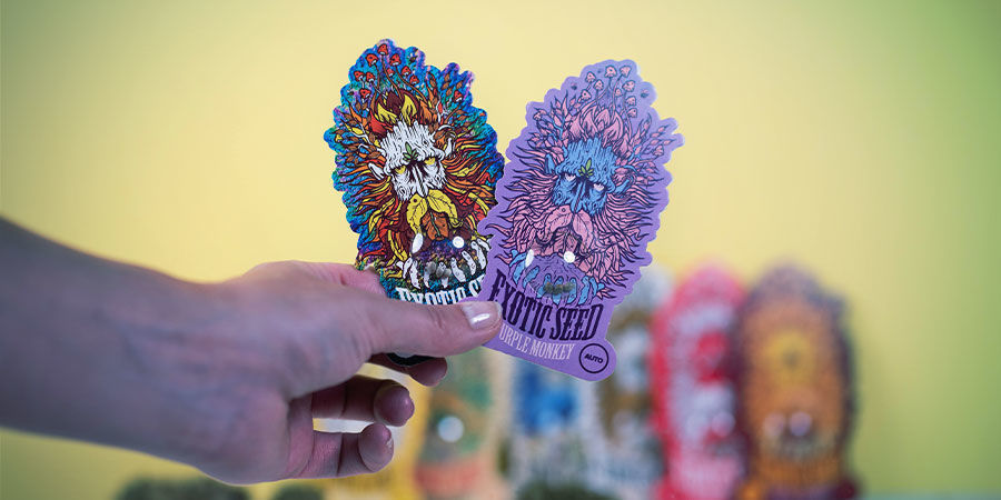 Exotic Seed: Semi Di Qualità Disponibili Subito Exotic Seed: Semi Qualità