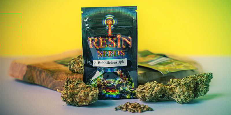 Cosa Rende La Resin Seeds Così Speciale?