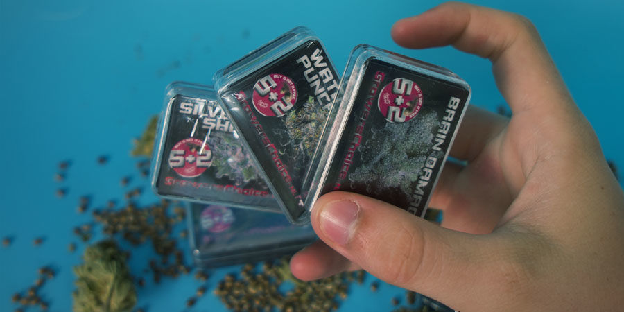 Growers Choice: Tuoi Nuovi Semi Preferiti