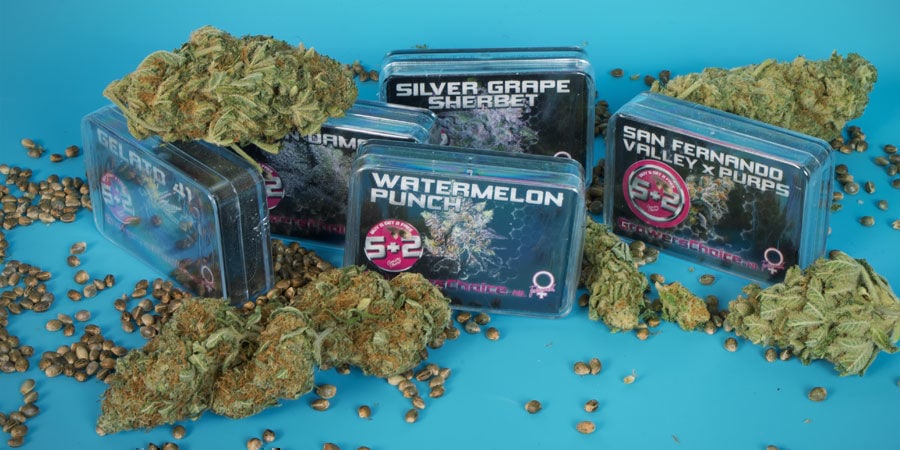 Chi è Growers Choice?