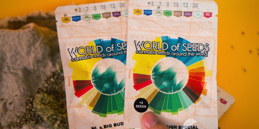 Come Sono Confezionati I Semi Di Cannabis World Of Seeds? Come Sono Confezionati I Semi Di Cannabis World Of Seeds?
