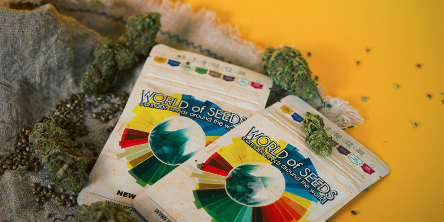 Dove Si Possono Acquistare Semi Di Cannabis Di World Of Seeds? Dove Si Possono Acquistare Semi Di Cannabis Di World Of Seeds?