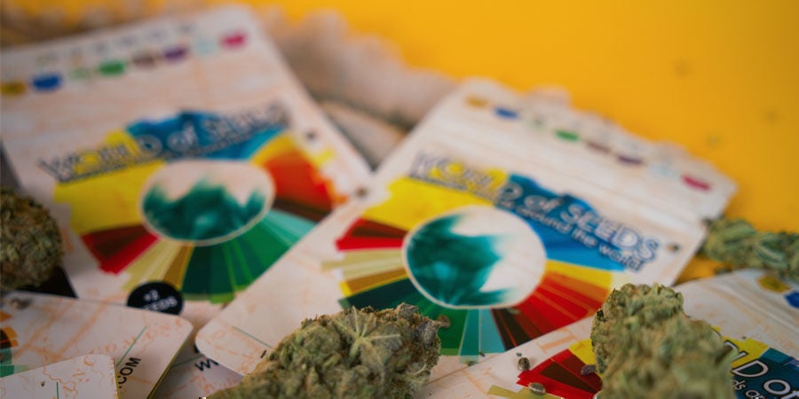 World Of Seeds: Alla Scoperta Di World Of Seeds World Of Seeds: Alla Scoperta Di World Of Seeds