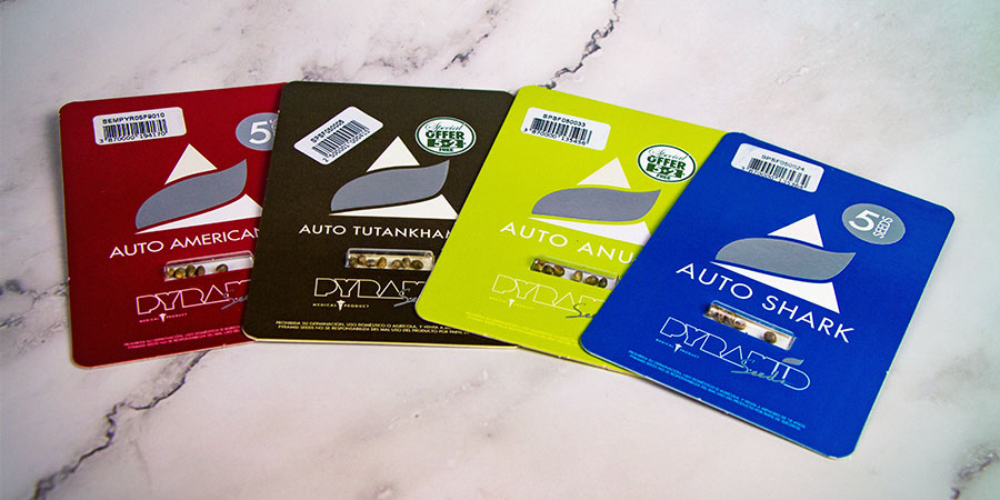 Packaging Della Pyramid Seeds Packaging Della Pyramid Seeds