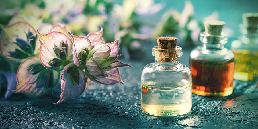 Cosa Sono Le Erbe Dei Sogni (Dream Herbs)? COSA SONO LE ERBE DEI SOGNI (DREAM HERBS)?