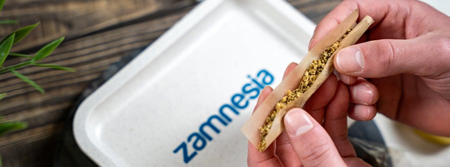 Informazioni su Zamnesia Headshop Informazioni su Zamnesia Headshop