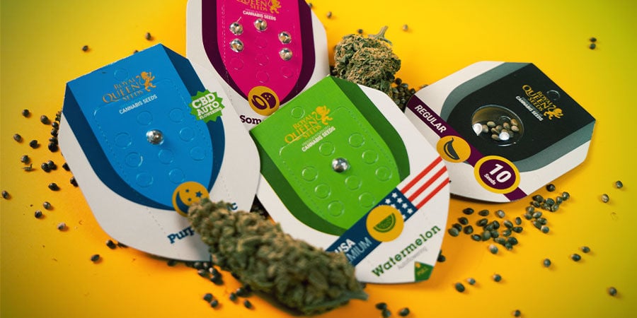 Visione e Missione Di Royal Queen Seeds Visione Missione Royal Queen Seeds