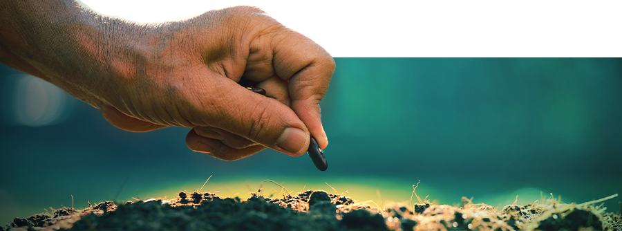 Smart Seeds - Coltivare A Casa Psichedelici Naturali E Antichi Afrodisiaci