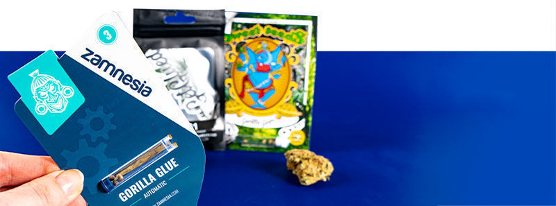 Informazioni sulle Varietà Gorilla Glue Informazioni sulle Varietà Gorilla Glue