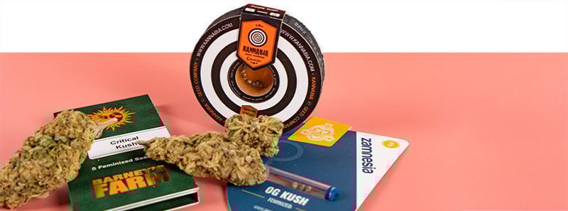 Informazioni sulle Varietà Kush Informazioni sulle Varietà Kush