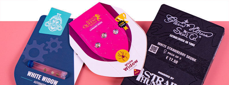 Informazioni sulle Varietà White Widow Informazioni sulle Varietà White Widow