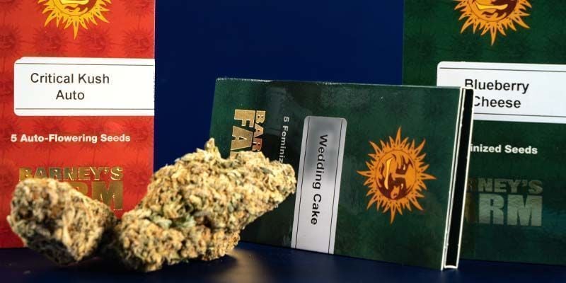 Packaging Barneys Farm Packaging Barneys Farm