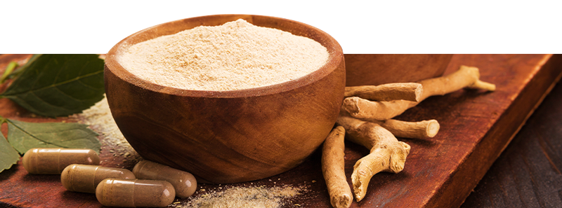 Acquista prodotti ayurvedici online da Zamnesia