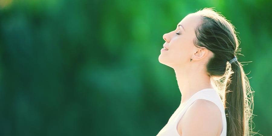 Passo 3: Recuperare Energie Con Le Erbe Passo 3: Recuperare energie con le erbe