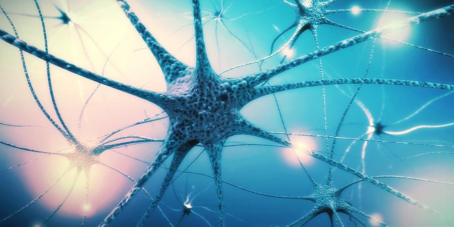 Passo 4: Nutrire Il Sistema Nervoso Passo 4: Nutrire il sistema nervoso