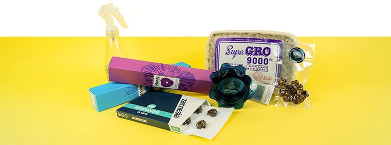 Tutto quello che serve per I viaggi con psilocibina e il microdosaggio