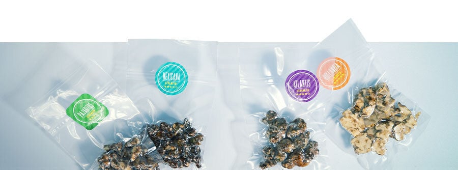 Acquista tartufi allucinogeni online da Zamnesia