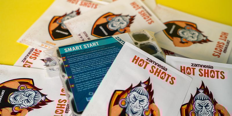 Come Germinare I Semi Di Peperoncino Coltivare i Peperoncini - Come Germinare I Semi Di Peperoncino