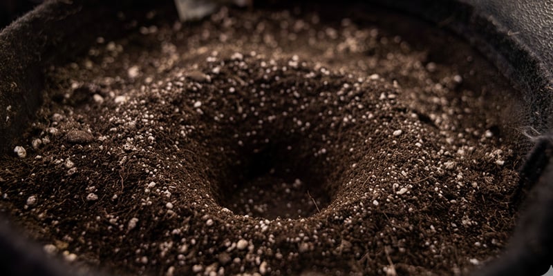 Prepara la nuova casa