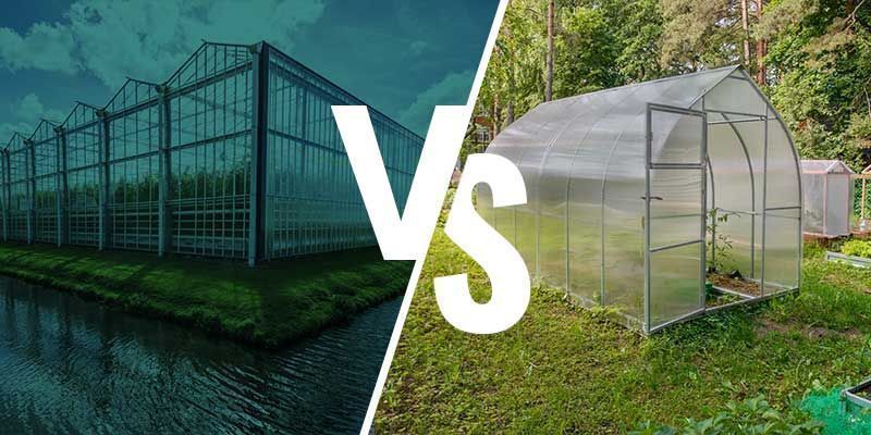 Le differenze tra la coltivazione in serra e veranda