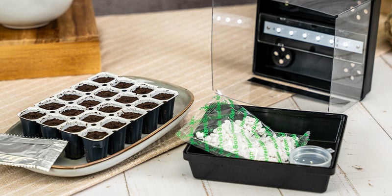 Perché Dovresti Far Germinare I Semi Di Cannabis Con Un Kit Smart Start?