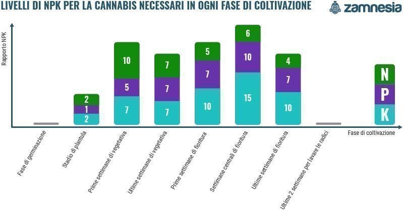 Livelli Di NPK Per La Cannabis Necessari In Ogni Fase Di Coltivazione