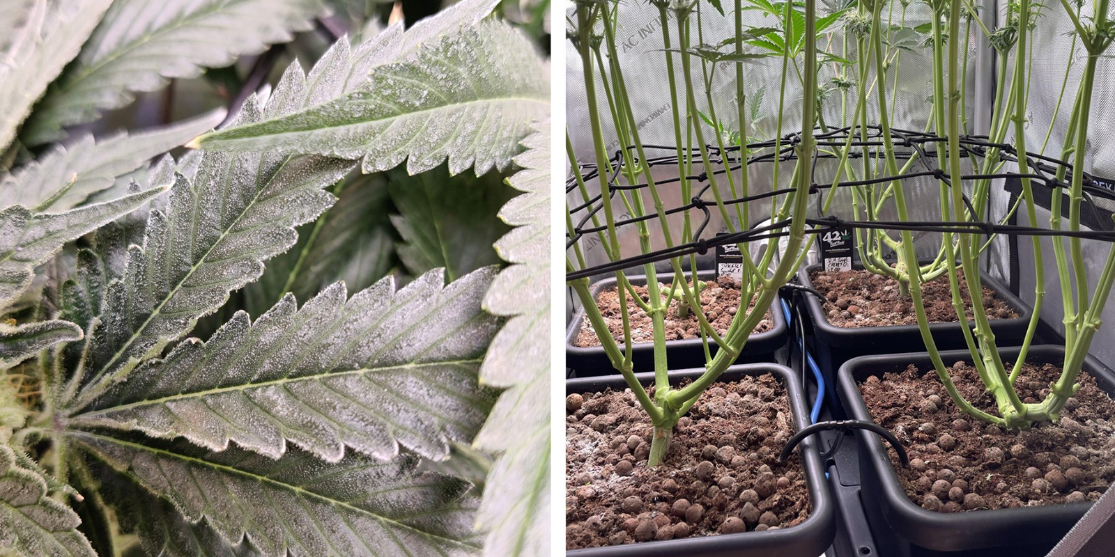 Ostruzioni del flusso d’aria Ostruzioni del flusso d’aria