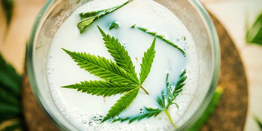 Latte alla Cannabis