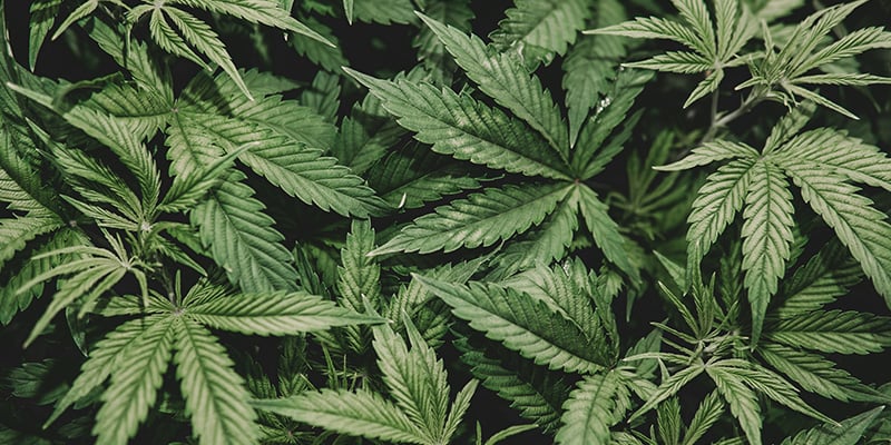 Errori comuni da evitare Errori comuni da evitare