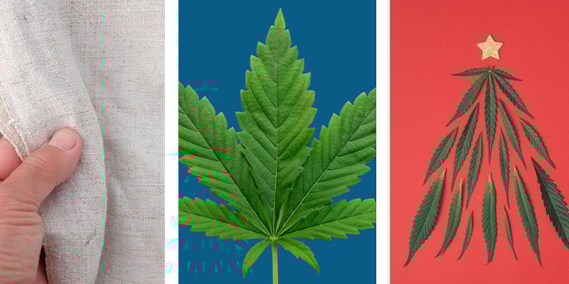 Applicazioni creative e fai-da-te Applicazioni creative e fai-da-te