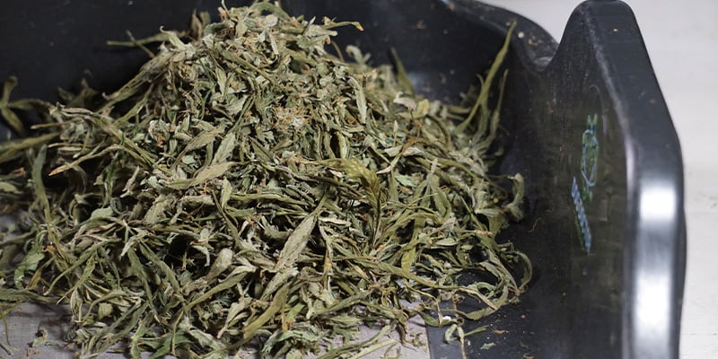 Dai nuova vita ai tuoi ritagli Dai nuova vita ai tuoi ritagli