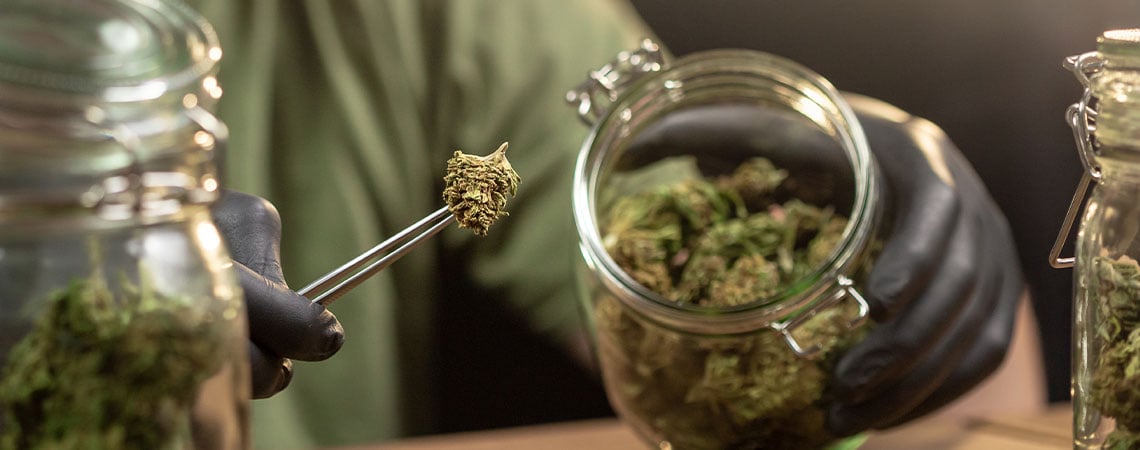 Come conservare la marijuana in maniera corretta
