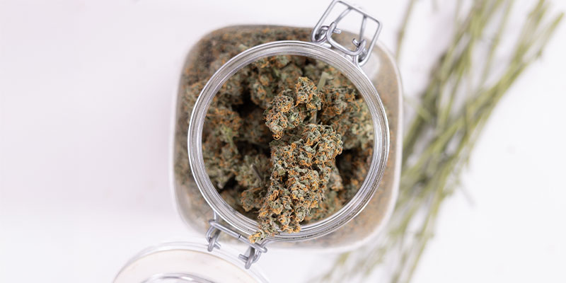 Come conservare la marijuana (correttamente)