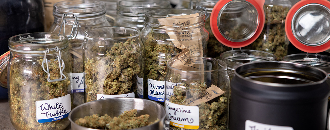 Come conciare la vostra cannabis
