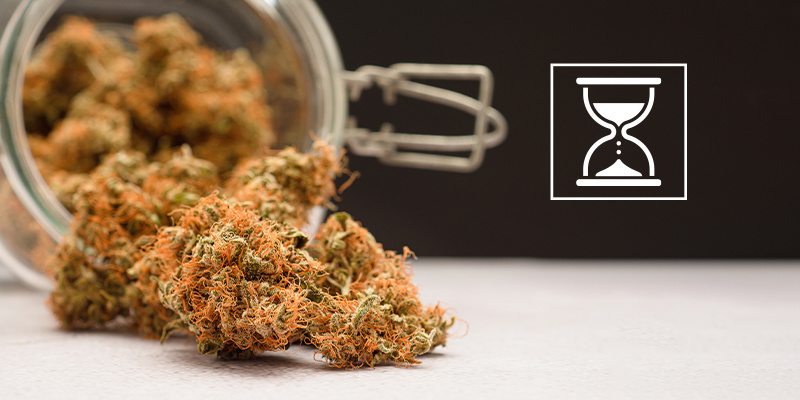 È possibile conciare la cannabis troppo a lungo?