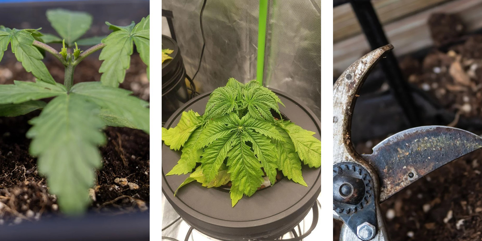 Errori comuni da evitare