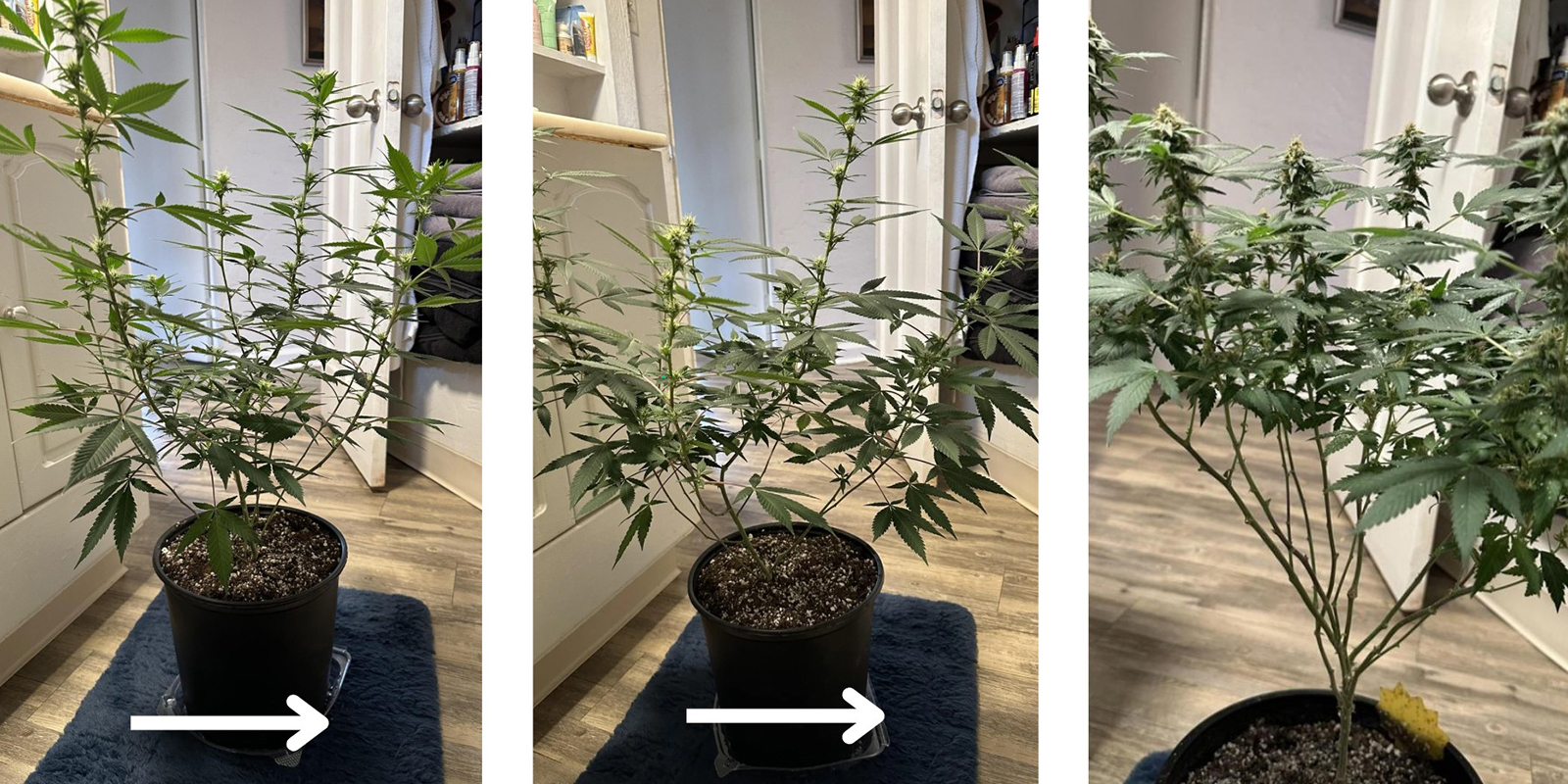 2. Procedi dall’alto verso il basso 2. Procedi dall’alto verso il basso