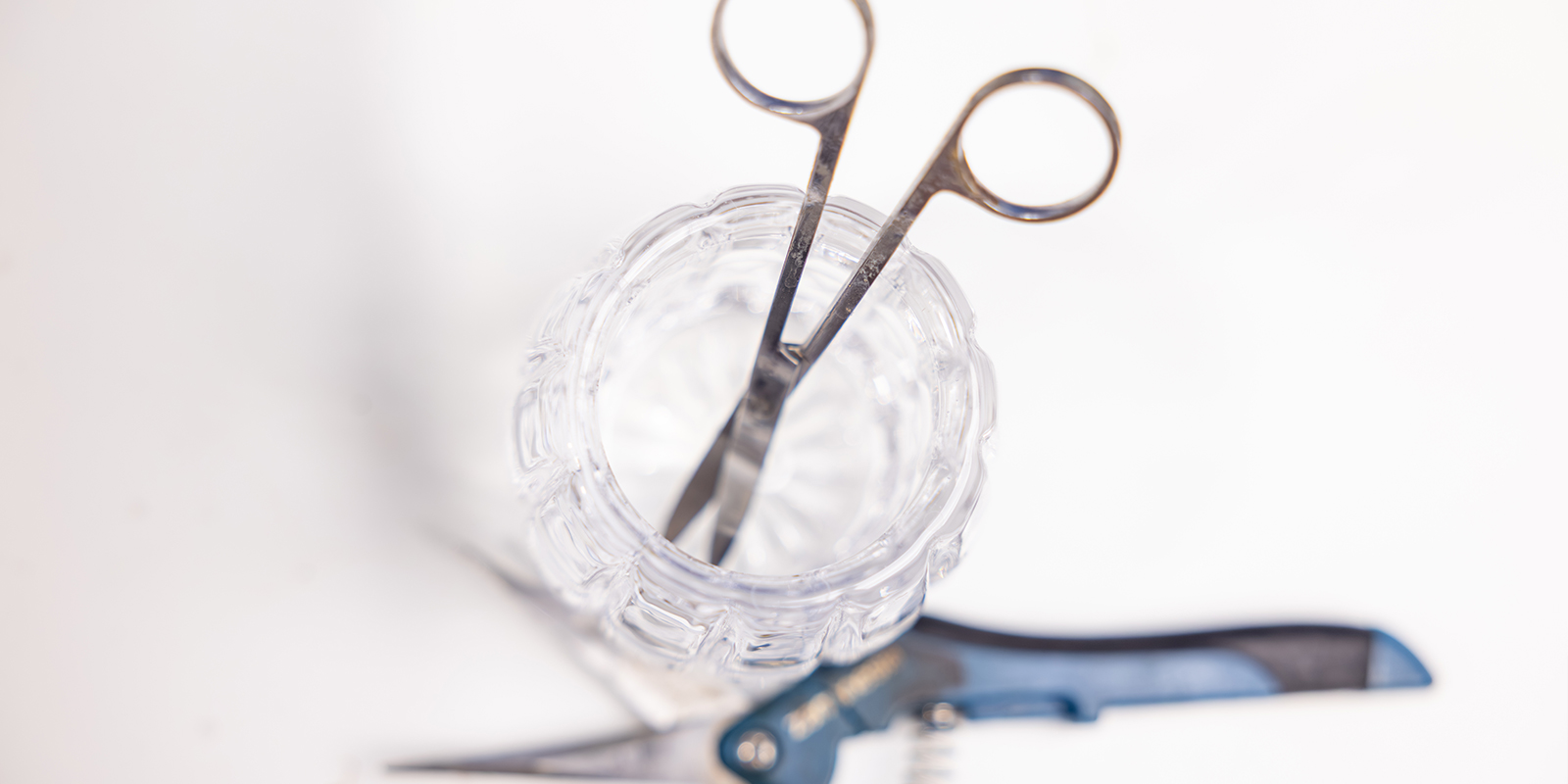 Strumenti e accessori per la defogliazione Strumenti e accessori per la defogliazione