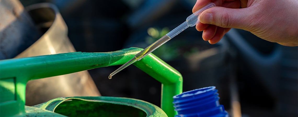 Le Autofiorenti Hanno Bisogno Di Nutrienti? Le Autofiorenti Hanno Bisogno Di Nutrienti?