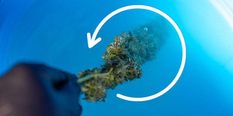 Fase 5: Risciacquo nel secondo secchio